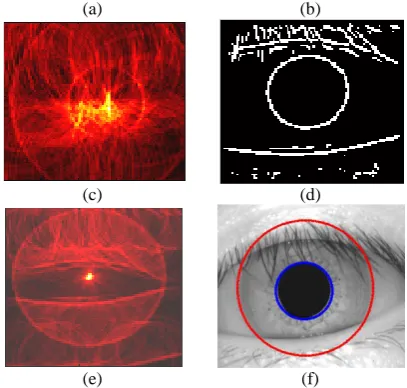 Fig 2: (a) Original eye image (CASIA: 14_1_1.bmp) from CASIA database,(b) Vertical edge map of eye, (c) Hough transform, (d) Horizontal edge map,(e) Hough transform image showing center of the Iris, (f) Localized Iris image