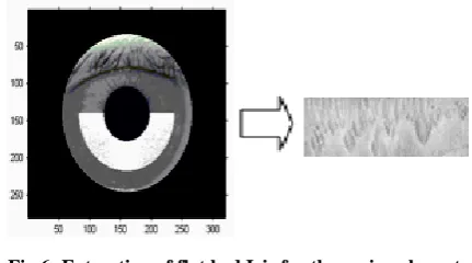 Fig 6: Extraction of flat bed Iris for the region closer to the pupil 