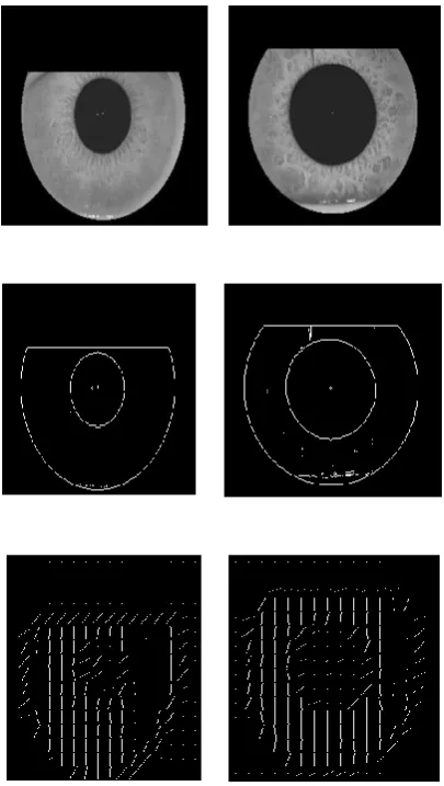 Fig 9: Two different Iris images from CASIA V1 Iris database along with their Gradient and orientation images