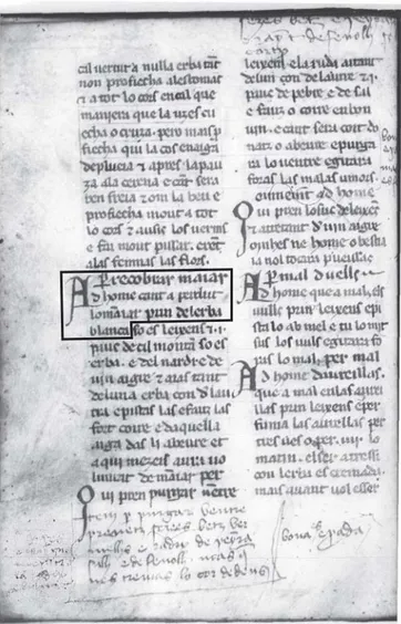 Figure 1: A page from the manuscript