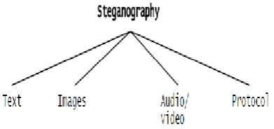 Fig 1: Categories of steganography 