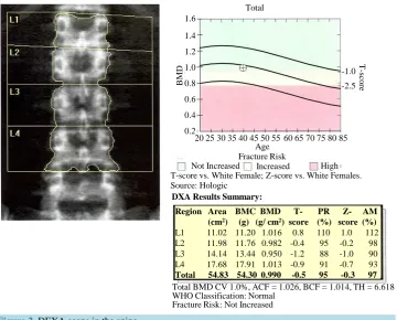 Figure 2. DEXA scans in the spine.                                                      