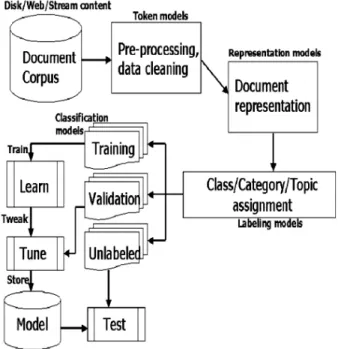 Figure 2. The standard text classification set up.