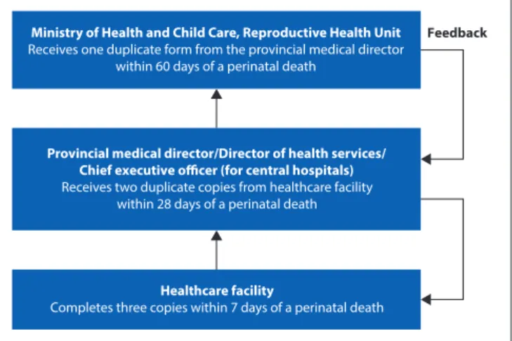Fig. 1. Flow diagram showing the reporting structure and timelines for the  perinatal mortality surveillance system in Zimbabwe