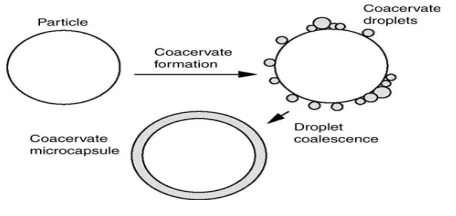 Figure 2:  Schematic diagram of the formation of a coacervate around a core material 