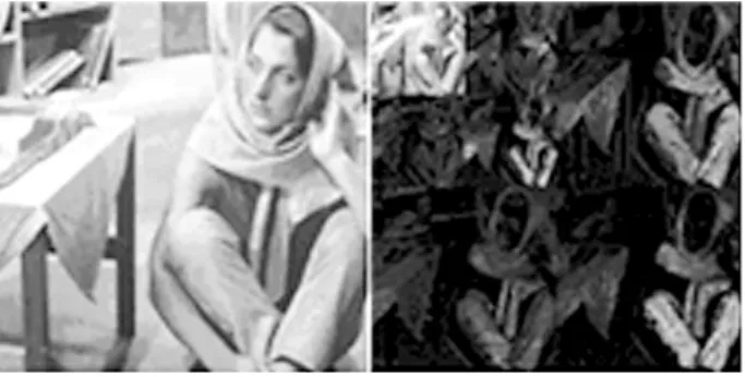 Fig. 3. The original blotch mask (left) and the spatially distributed one (right) for correcting 2-level