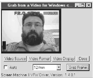 Fig. 2. The Video Grab Application of CAIRN system prototype.