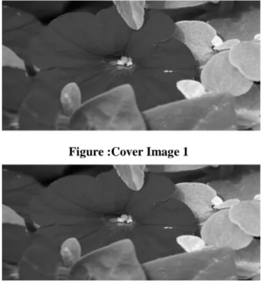 Figure :Cover Image 1 