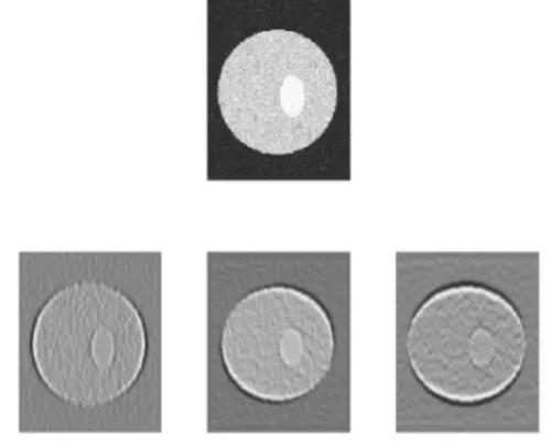 Fig. 3. A noisy synthetic image (top) and DWT transformation results at directions