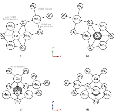 Figure 1.5: Illustration schematically representing the OECW Mn4CaO5cofactor, and establishing the conventions used to deﬁne orientations ofthe cluster