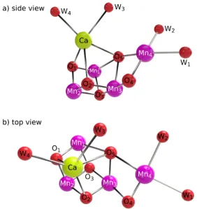 Figure 1.6: Crystallographic geometries of the PSII OEC, based on theX-ray structure provided by Suga, et al