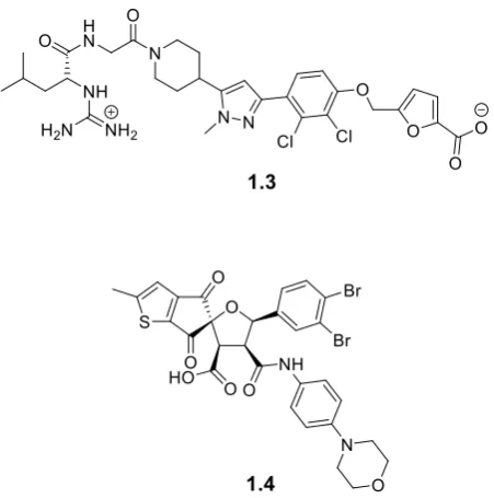 Figure 1.10- Structures of two developed small molecule inhibitors (1.3) SP4206 an inhibitor developed for targeting IL-2 (1.3) the so called “Compound 23” developed by Boehringer Ingelheim for the HPV: E2 interaction (structures adapted from [53,55,58] ) 