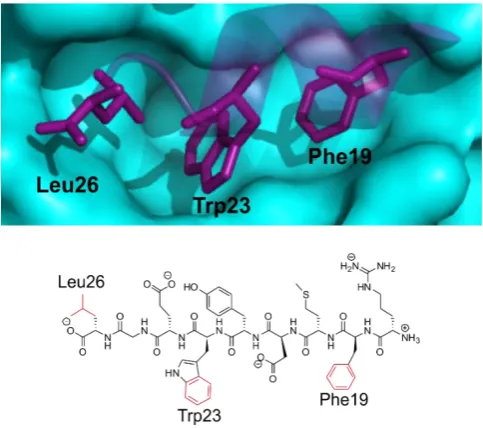 Figure 1.12 The chemical structure of Roche’s cis-imidazoline compounds the Nutlins, designed to inhibit the p53 MDM2 interaction
