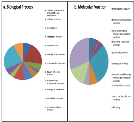 Fig. 2. GO of SF using Panther. All proteins identiﬁed in SF were input into Panther protein classiﬁcation software in order to determine the GO terms for (a) biological processes and(b) molecular function