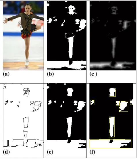 Fig 4: The results of the segmentation module steps: (a) original color image, (b) binary image of skin and non-skin pixels, (c) distance transformed image (d) segmented image by the LWS; (e) masked skin areas (f) image after removal of non-significant ski