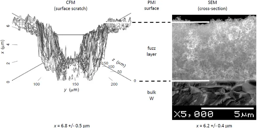Figure 1. Comparison of tungsten fuzz layer thickness measured by CFM and cross-sectional SEM