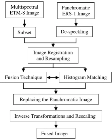 Figure 3 demonstrates the general schematic diagram of the used fusion methods [7]. 