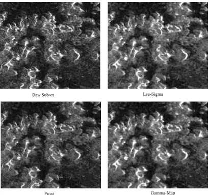 Figure 4: ERS-1 Different Speckle Filter Outputs. 