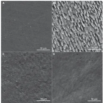 Figure 1 Images of sound enamel (A), enamel after ph cycling model (B), sound enamel after bleaching treatment (C), and bleached enamel previously submitted to ph cycling (D) at 2,000× magnification.