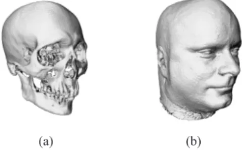 Fig. 1. We use ( a ) CT to acquire a virtual representation of the skull find and ( b ) MRI to measure facial templates that provide dense soft tissue distributions.