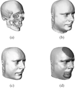 Fig. 3. Illustration of the warping of an arbitrarily chosen reference MRI ( b ) onto a CT cranial bone of an unknown deceased individual ( a ) 