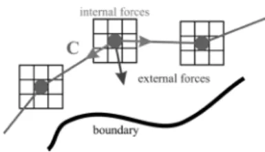 Fig. 6. Schematic snake movement through the image domain towards a boundary.