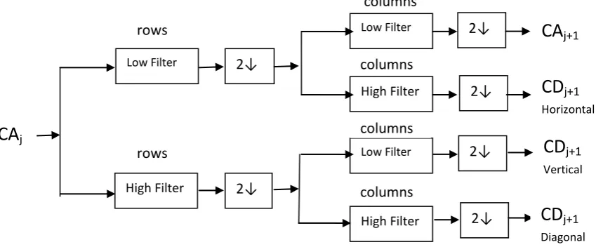Fig 3 Multilevel 2-D Wavelet Decomposition 