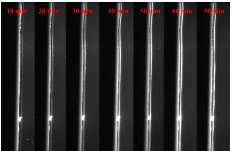 Fig. 10. Seven images of the inlet side of a filter during cleaning process by reverse flow (influence of a duration of applied inverse pressure drop)