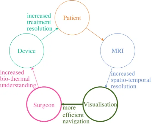Figure 2.1: Research Context - Within a complex system enabling brain tumour treat-ment, the need for an efﬁcient interactive visualisation interface is addressed.