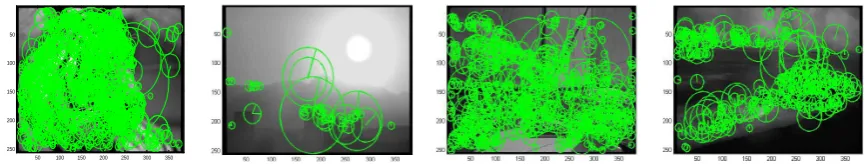 Figure 1. Each image was partitioned into blocks with regular grid. 
