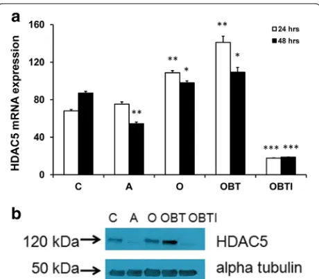 Fig. 4 Expression of osteogenic and adipogenic markers in hMSCs(ALP (under conditions used for gene expression microarray analysis