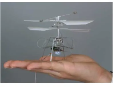 Figure 2: A Predator.