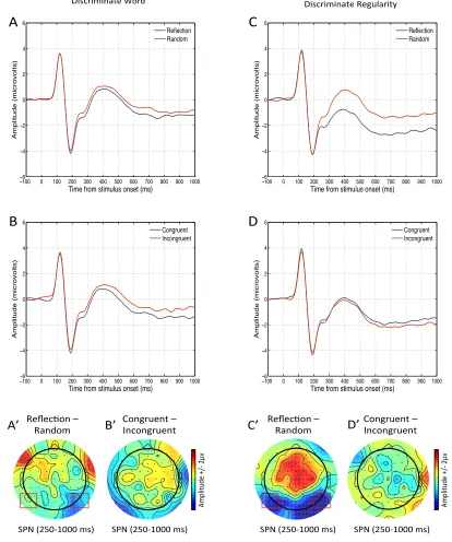 Figure 2  Grand Average ERPs [N= 40] from Experiment 1 the Discriminate Word task and the Discriminate Regularity task are plotted