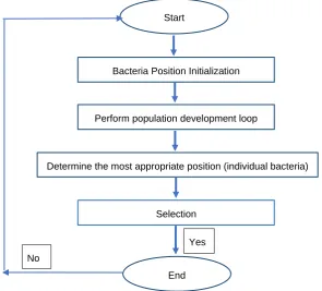 Figure 2. BFOA flowchart for calculating co-ordinate search route for two SAR vessels 