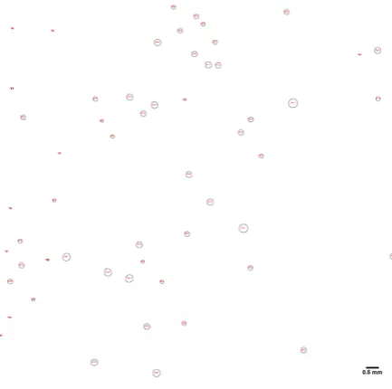 Fig. 4. Results after application of sequence image processing method. 