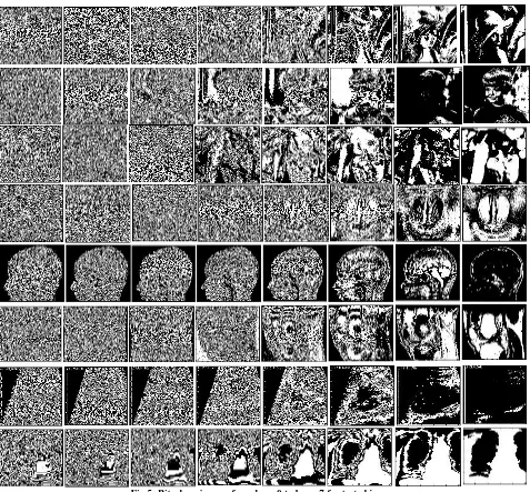 Fig 5: Bit-plane images from layer0 to layer 7 for tested images. 