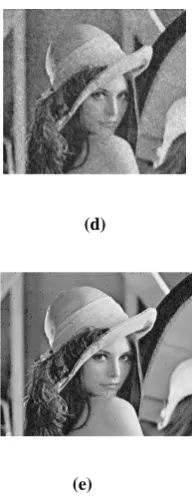 Figure 4.2: (a) original image, (b) noisy image, (c) mean filter output, (d) Network output, (e) FLANN output 