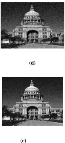 Figure 4.3: (a) original image, (b) noisy image, (c) mean filter output, (d) Network output, (e) FLANN output 