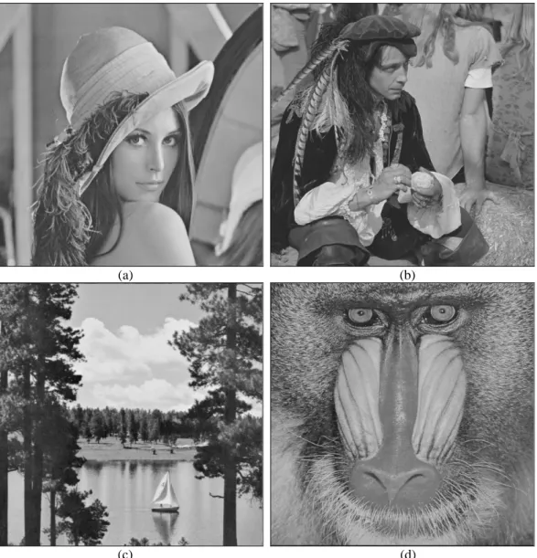Figure 1: Four stego-images. While (a) and (b) are produced by running coding with PSNR 53.9 dB, (c) and  (d) are produced by EMD embedding with PSNR 57.8 dB