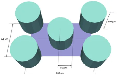 Fig. 1. Description of the simulation channel topology of cylindrical adhesive microfluidic device