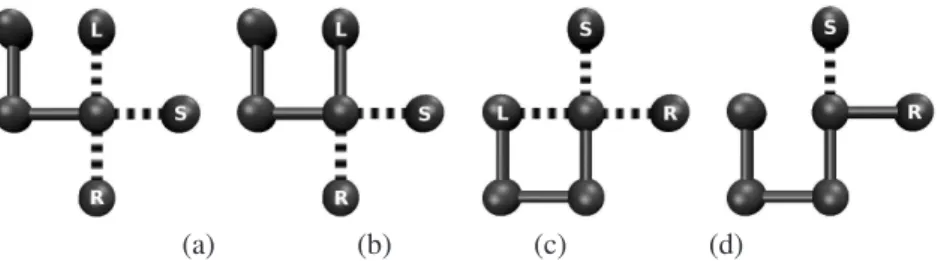 Figure 1: Stages of the chain growth algorithm investigating left (L), right (R) and straight (S) availability (a), random selection from all available directions (b), at the next locus investigation of L, R and S availability (c) and random selection from