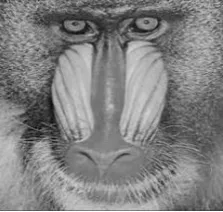 Fig 5: Compressed Baboon Image using Enhanced LBTC-DWT algorithm 