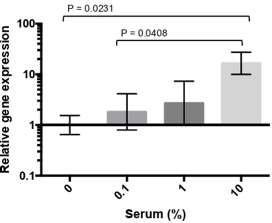 Figure 3-3 RSV uptake is enhanced by the presence of 10% autologous serum 
