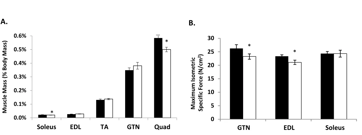 Figure 2A. 