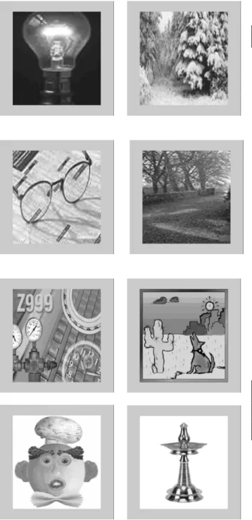 Figure  1:      Images  after  watermarking  using  the  ICA  technique.   