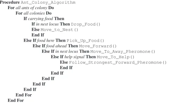 Figure 1: Basic ant-colony algorithm