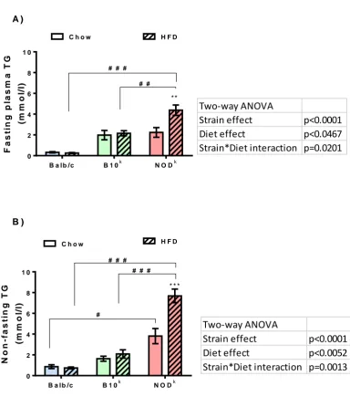 Figure 3.10. Plasma TG concentrations in Balb/c, B10k and NODk mice fed chow 