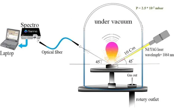 Figure 1: Laser Induced Plasma Spectroscopy (LIPS) System configuration 