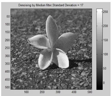 Figure 7: De-noising by Median Filter, Standard Deviation 