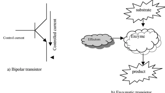 Fig. 1. In an enzymatic transistor effectors control the rate of conversion of substrate into product.